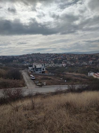 Teren intravilan 479mp in Dezmir - 16