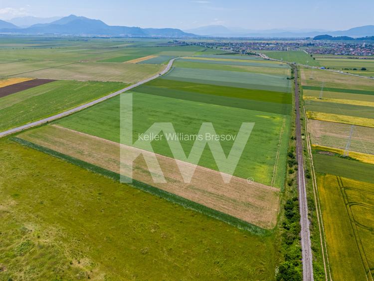 Teren de vanzare I 43 500 mp I Deschidere la drum - Harman - 13