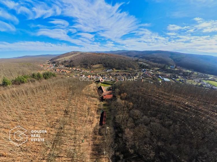 Proprietate pretabila pentru afacere, Cladova - 36