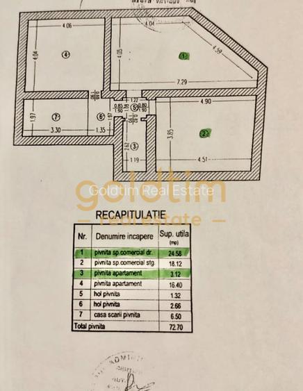 Vila interbelica D+P+1+M+spatii comerciale 340mp/necesita renovare/Gara de Nord - 17