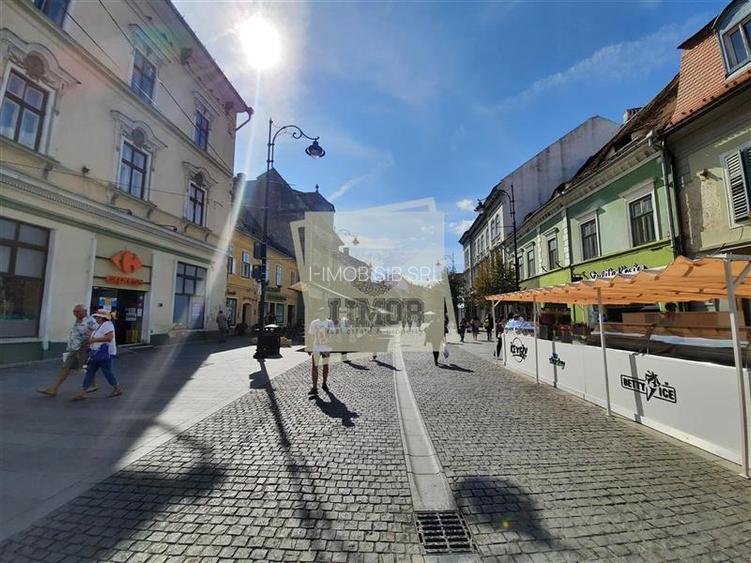 Spatiu comercial 114 mp utili 2 camere pe Bulevardul Balcescu din Sibiu - 2