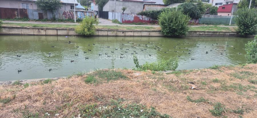 Teren Colentina - Maior Bacila - Canalul Colentina - 8