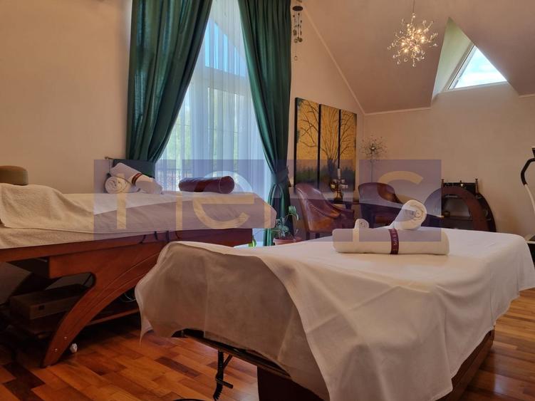 INCHIRIERE SPATIU COMERCIAL-2 VILE | ZONA MOGOSOAIA - 10