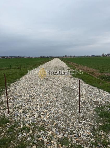 Teren intravilan de vânzare Berceni Vidra | 500–650 mp | curent la lot - 2