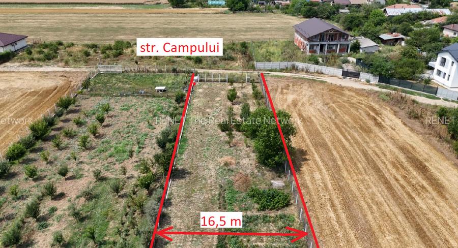 CIOLPANI, LOT 5.000 MP, HALE INDUSTRIALE! - 3