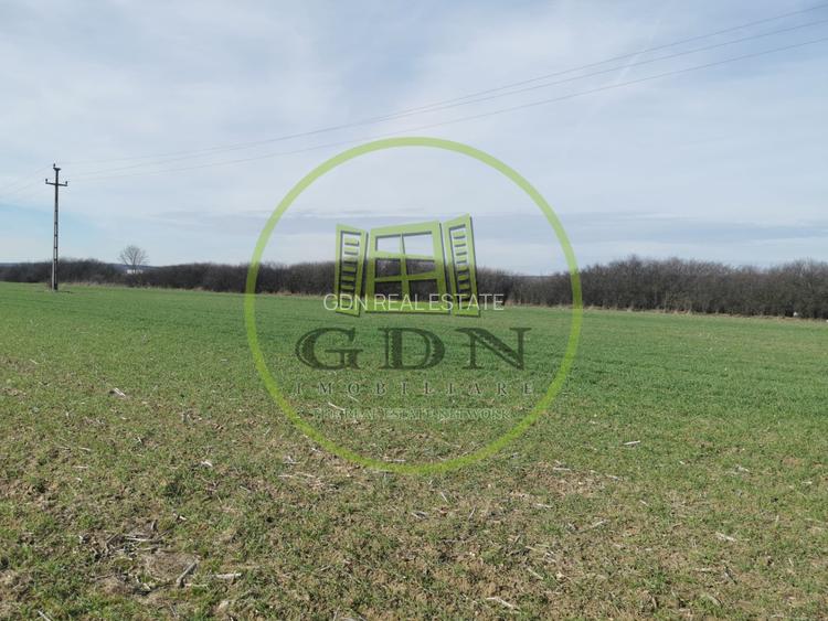 Teren extravilan de vanzare in Sacadat, 21.496 mp, cu deschidere de 42 m la E60. - 6