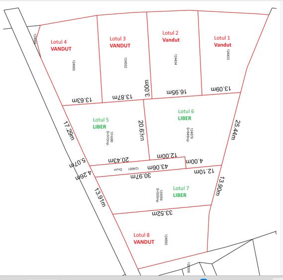 Teren intravilan 500 sau 1000 mp Bran-Tohanita la dum asfaltat - 7