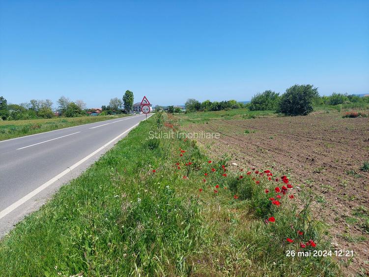 Teren  intravilan  540 mp / Vama Veche - 6