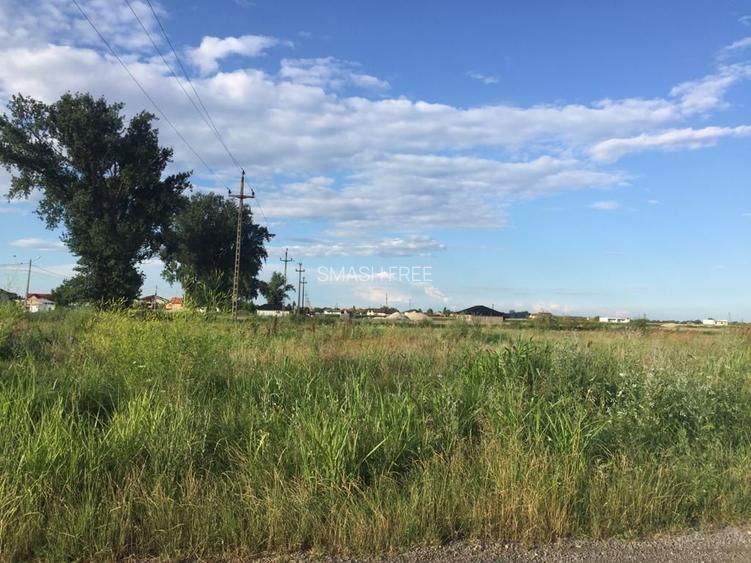 Teren intravilan in comuna Domnesti - sat Teghes - 5