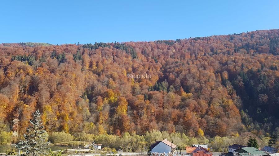 Garsoniera Sinaia Valea Prahovei Parcare Subterana SPA - 8