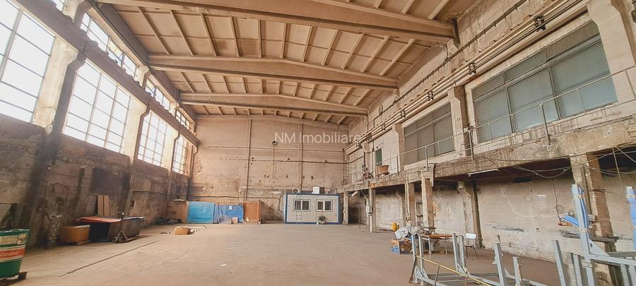 Bulevardul Basarabia, zona Faur, hala 1100 mp cu pod rulant - 4