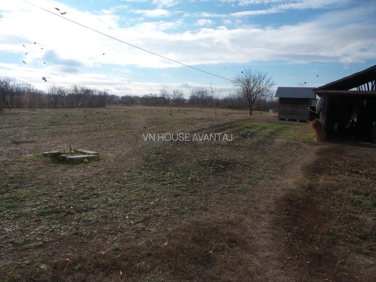 Teren Central Vulturu - 5