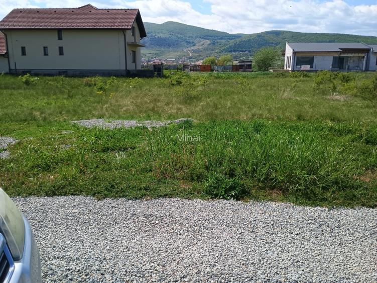 Vând Teren intravilan in cartier Micești, judetul Alba  - 4