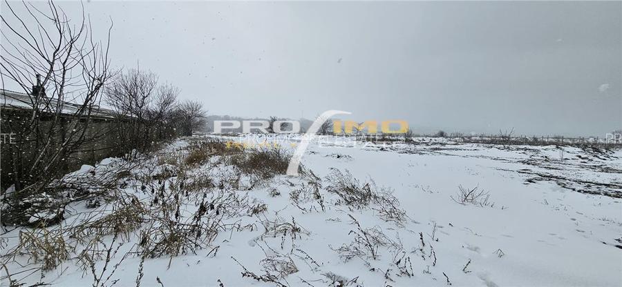 Teren 600mp. curs constructii, Utilitati, Palazu Mare, str.Spicului - 6