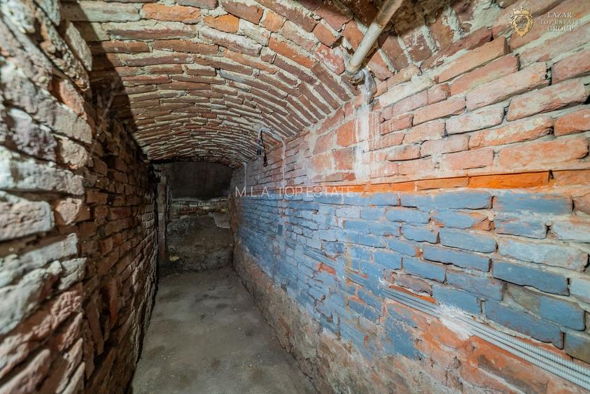 Proprietate speciala cu potential in inima Aradului - 29