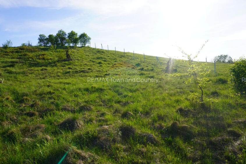 Teren 38,592mp Sighetu Marmatiei / Strada Mocăniței - 4