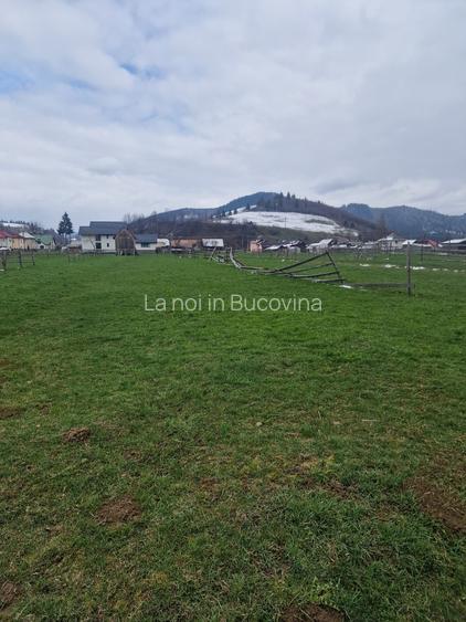 De vanzare teren intravilan 2466 mp Bucovina - Frumosu - 5