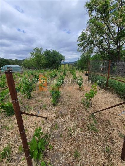 Exclusivitate! Teren intravilan zona Beceni - 7