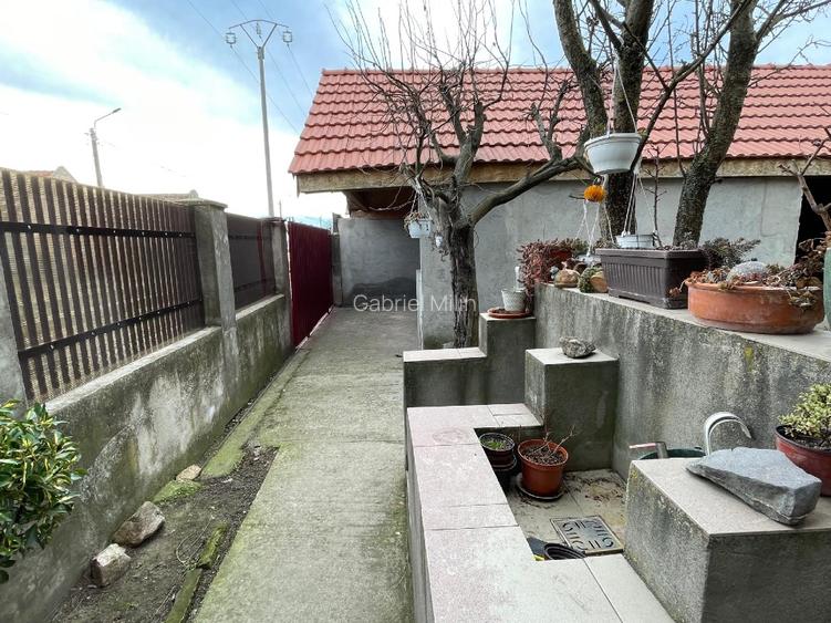 Casa de vanzare in localitatea Pustinis - 3