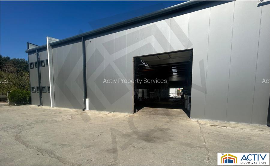 Hala Conti Impex Magurele - 4