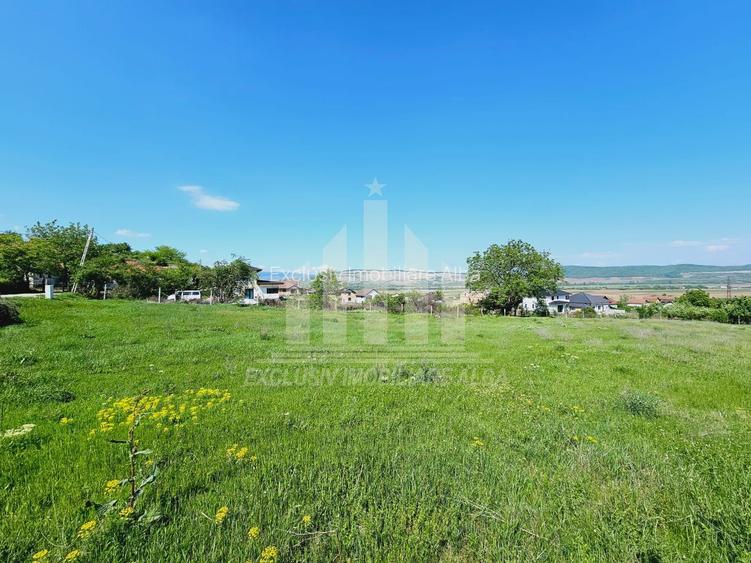 Teren intravilan | De vanzare | 3000 mp | 85 ml deschidere | Micesti - 4