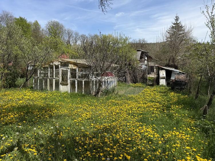 Casă de vânzare în zona Câmpulung înconjurată de natura - 17