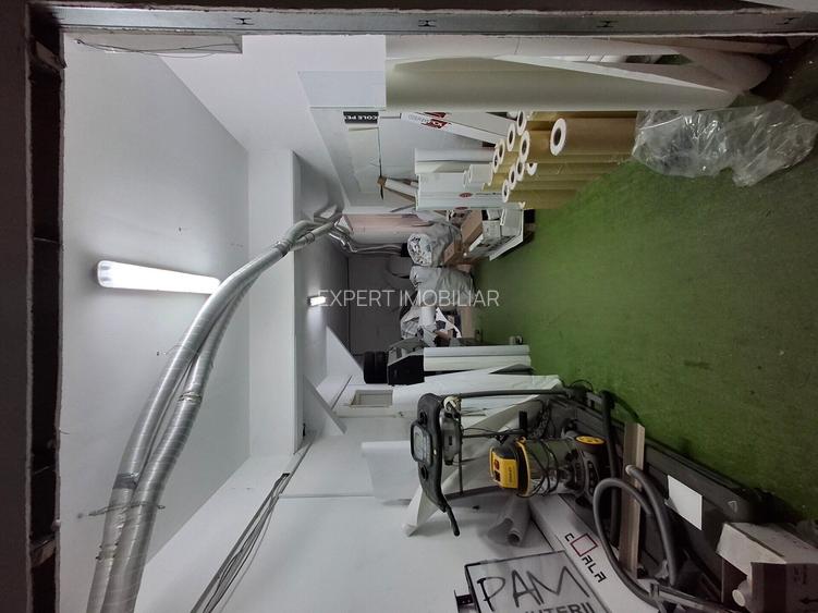 Spatiu depozitare/productie zona Giurgiului /Luica 500 mp - 14