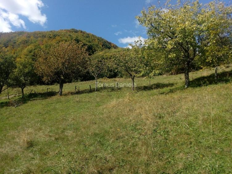 Teren de vânzare cu casă în Apuseni - 13