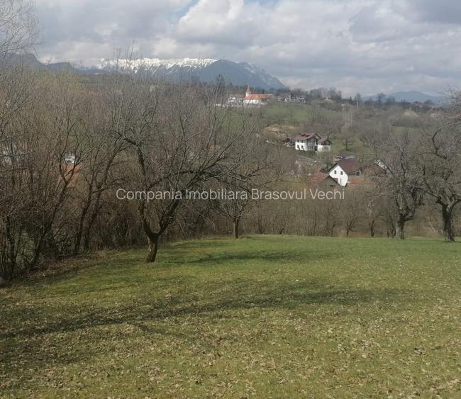 Teren intravilan parcele 1.500 mp Sohodol - Bran. - 5