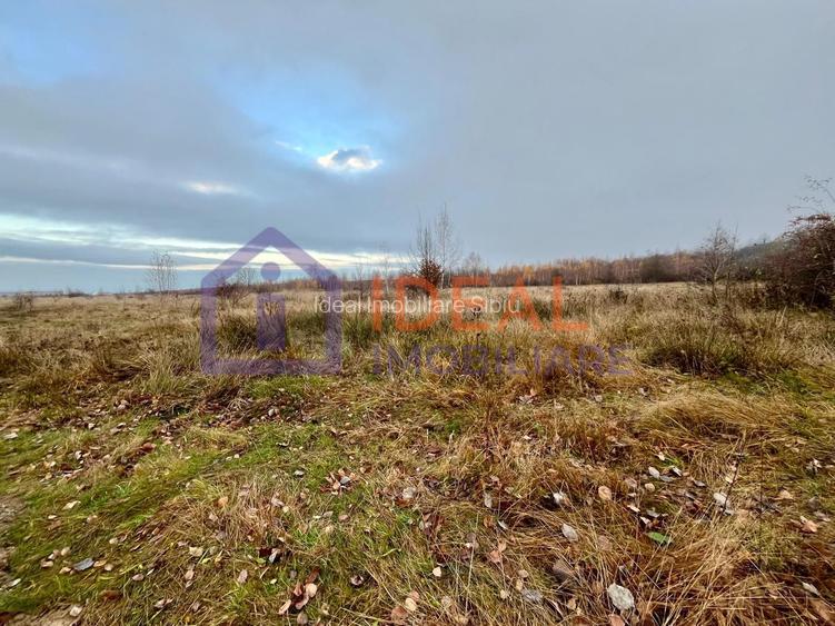 Teren extravilan 6.500 mp – două căi de acces, Cârțișoara - 5