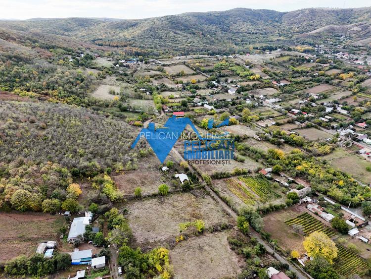 Teren intravilan NICULITEL, zona deosebita, 3044MP - 2