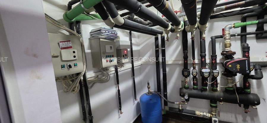 Piata 1 Mai spatiu demisol 475 mp - 18