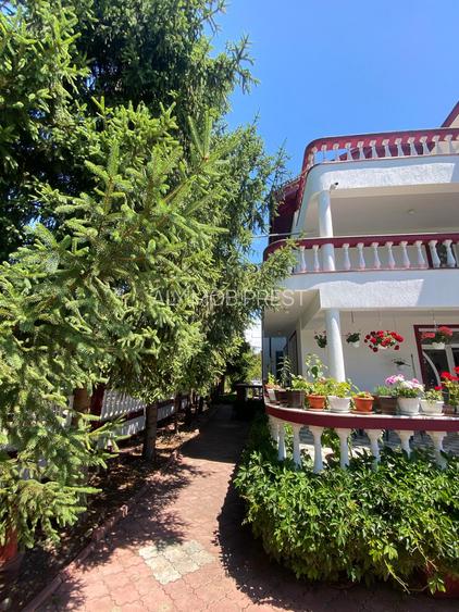 Domeniu Privat - Rosu/ Chiajna - Ilfov - 2