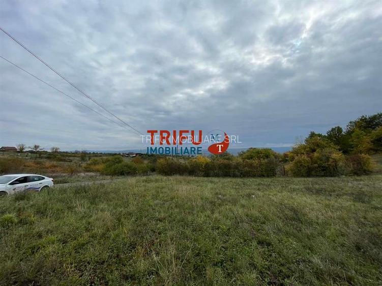 Teren intravilan cu dubla deschidere zona Cetate - 3
