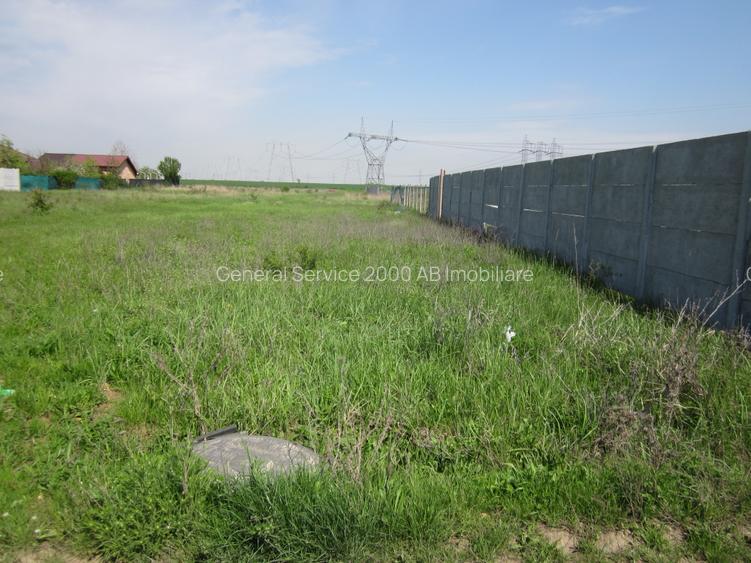 Domnesti-Crengutei - 5