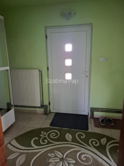 Se vinde casă + teren generos în comuna Acîș (aprox. 38 km de Satu Mare) - 14