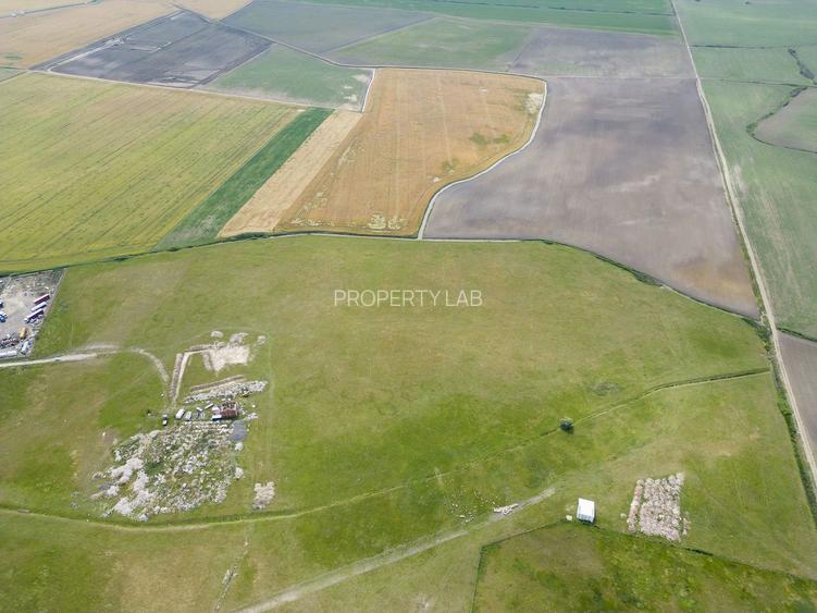 Teren intravilan de 26,606mp Sacalaz - 22