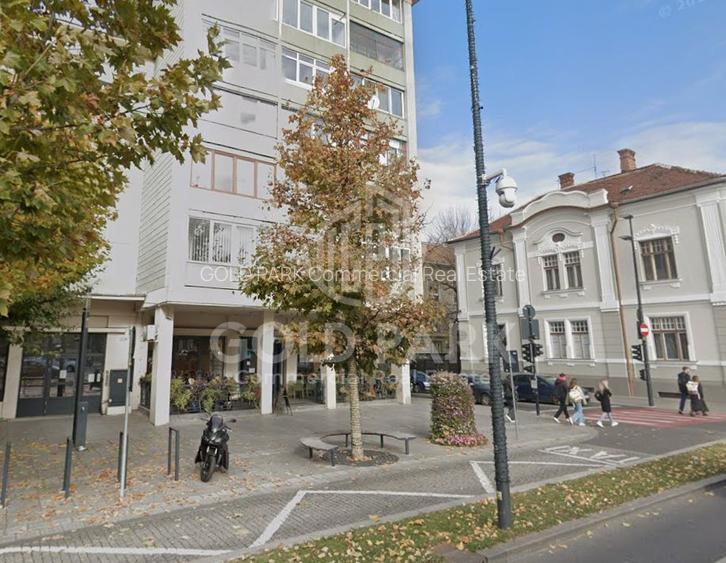 Spatiu Comercial - Ultracentral - Terasa - 21