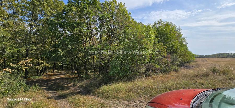 Terenuri in Cucorani - 3