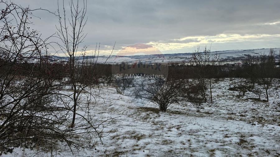 Teren 10,000mp Radaseni / Soseaua DN2-E85, judetul Suceava - 15