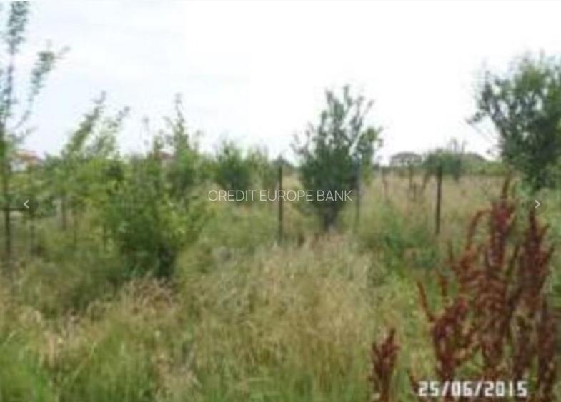 Teren intravilan , Clinceni - 2