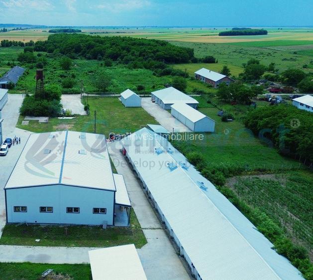 Hala de vanzare cu exclusivitate, la 24 km de Oradea, in Salard, Bihor - 2