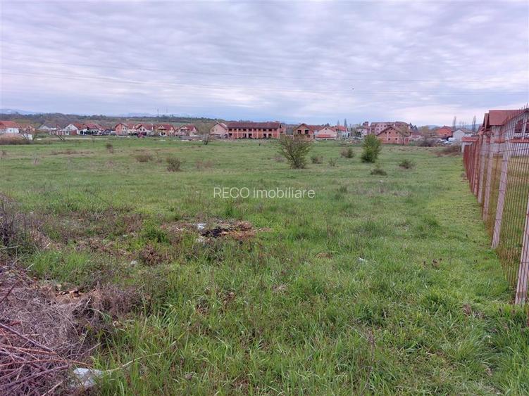 RECO Teren 4935mp in Beius - 3