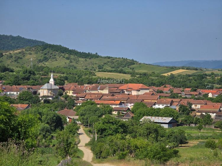 Casa de vanzare la sosea in Girbovat, langa Bozovici, 5 camere - 13