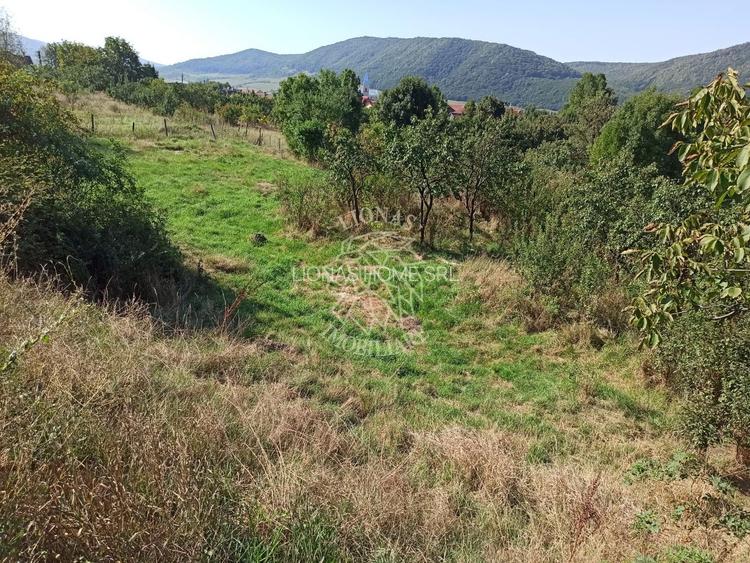 Teren intravilan 1400 mp cu utilitati la DN 17- Crainimat - 3