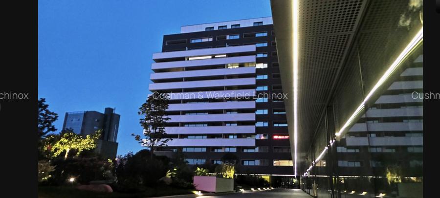 Apartament spectaculos de 7 camere in Herastrau - 13