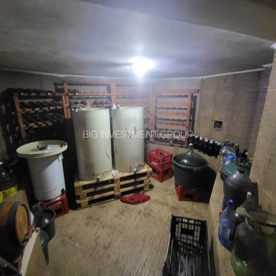 Vila boiereasca, superba, strada, linistita, nelipita de vreun alt imobil - 32