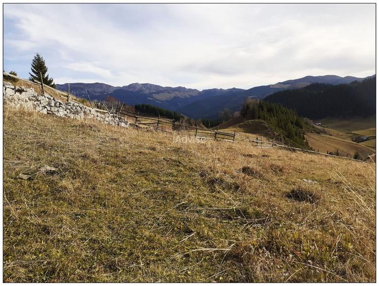 Teren Cu Priveliste Deosebita De Vanzare In Fundata - 2