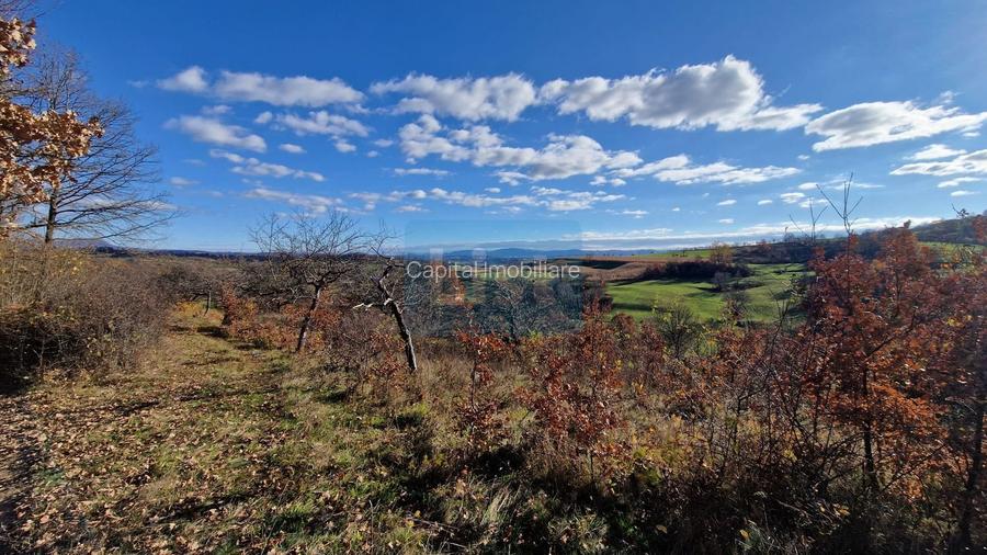 Teren de vânzare in Groși, Maramureș, 55 ari - 5