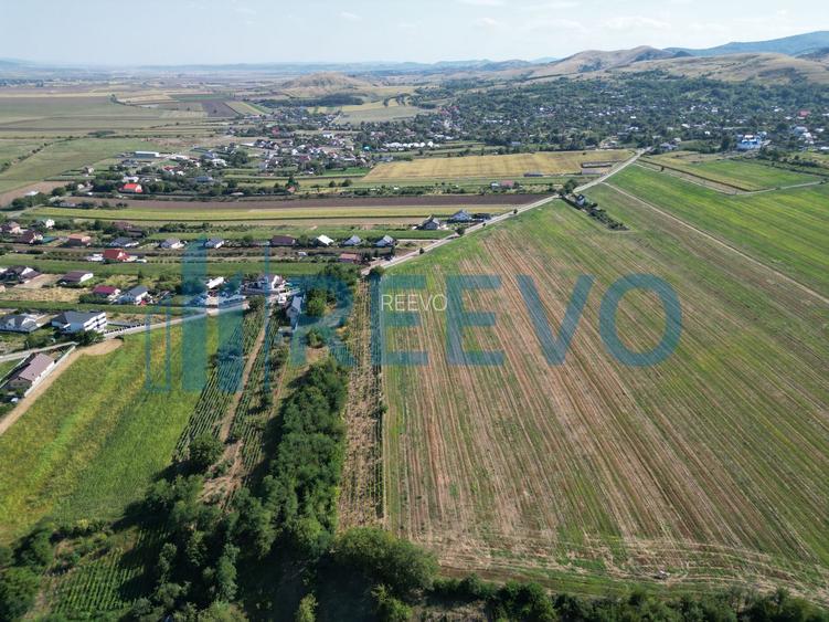 Teren de vânzare, Com. Sarata, Jud. Bacău - 8